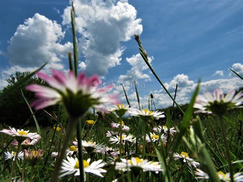 Prostran šumski posjed, poljoprivredno zemljište, površina 16.699m2
