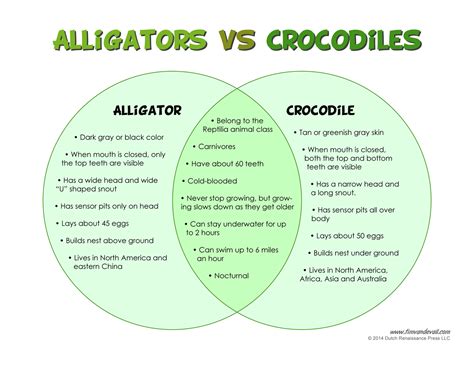 Alligator Facts for Kids