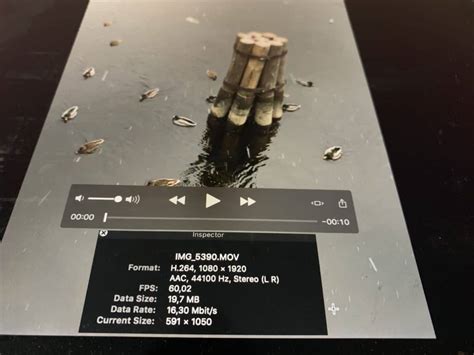 Video Metadata 的图像结果