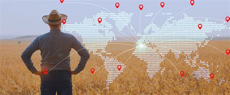 Market Development 的图像结果