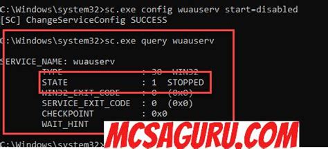 Image result for Windows Update Off by Command