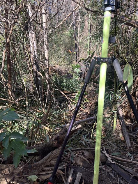 63 degrees Fahrenheit, 56% humidity, things could be worse. : r/Surveying