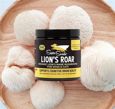 Super Snouts Lion's Roar - Makaila