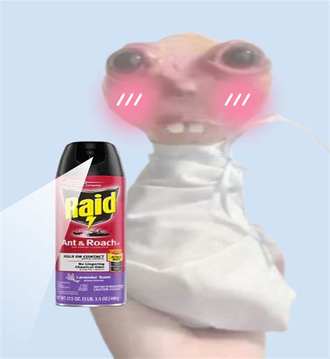 120 Raid spray meme ideas in 2025 | raid, reaction pictures, funny ...