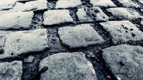 Image result for Paris-Roubaix Rock