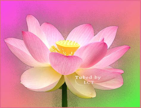 Image result for Tube Tutorial