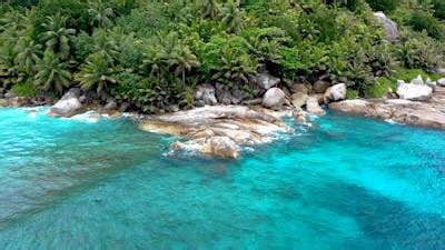 Image result for Free Loop Video Clips