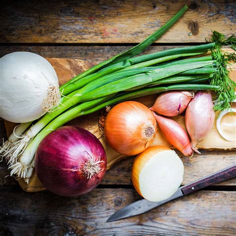 Blackberry season: everything you need to know