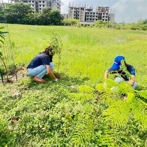 "From Office to Oasis: Wipfli’s Employee-Led Urban Forest Initiative ...