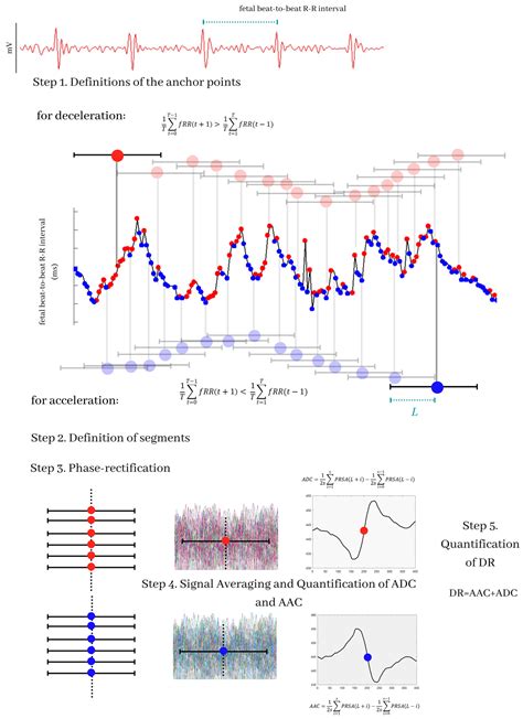 Differences in the Asymmetry of Beat-to-Beat Fetal Heart Rate ...