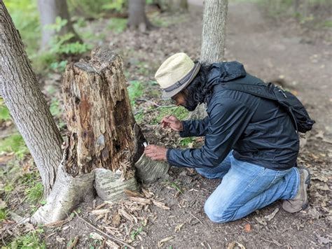 Image result for Animal Tissue Sample Collection Vials