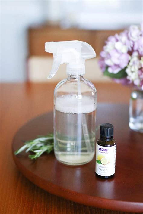 diy insect repellent