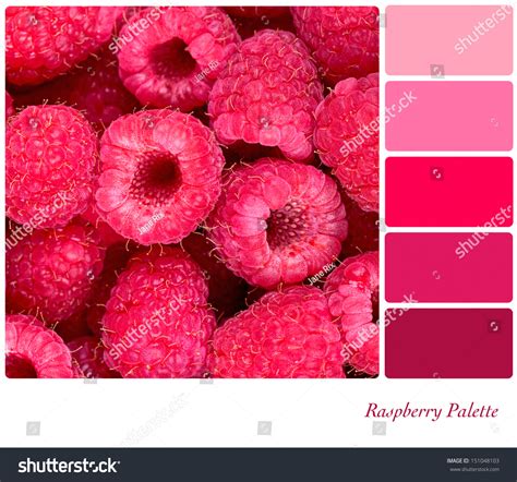 Food Color Palette: Over 9,428 Royalty-Free Licensable Stock Photos ...