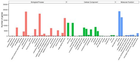 Transcriptomic Analysis of Betula halophila in Response to Salt Stress