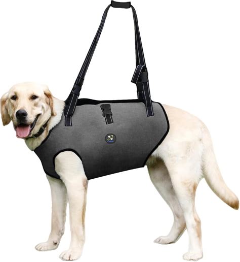 Coodeo Adjustable Dog Lift Harness for Support & India | Ubuy