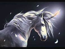 why don t we unicorns today this ballsy unicorn kelpie and pegasus taking me wmv why don t we unicorns today this ballsy unicorn kelpie and pegasus taking me wmv