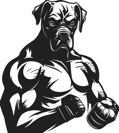 Boxer Logo 的图像结果