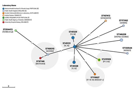 Atypical Non-H2S-Producing Monophasic Salmonella Typhimurium ST3478 ...