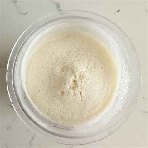 Ninja Creami Basic Vanilla Base Recipe - TheCreameri | Ninja Creami Recipes