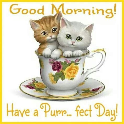 Image result for Fect Cache