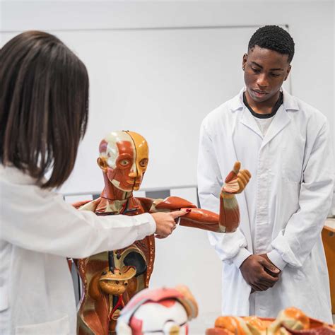 Human Biology - The Department of Natural Sciences