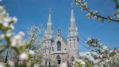 Virtual Interview Backgrounds 的图像结果