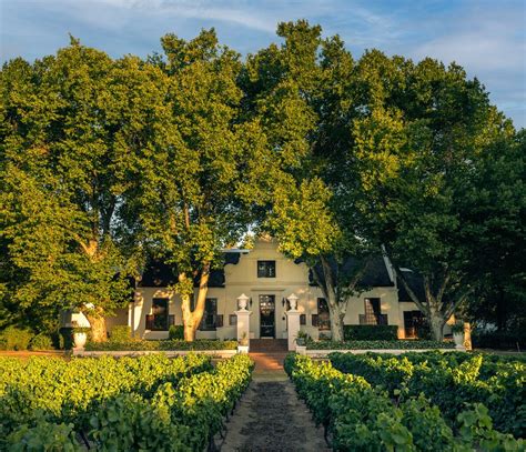 NEDERBURG WINES (2025) All You Need to Know BEFORE You Go (with Photos ...