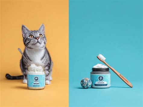 Image result for Homemade Cat Toothpaste