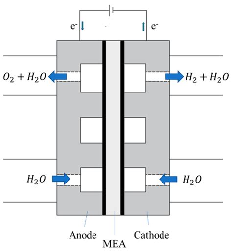 Conductive Polymer and Nanoparticle-Promoted Polymer Hybrid Coatings ...