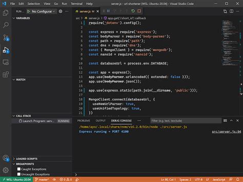 Run Node.js Code in Debug Mode Using Visual Code 的图像结果