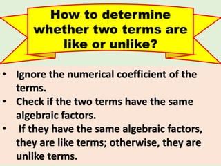 Like & unlike terms | PPTX
