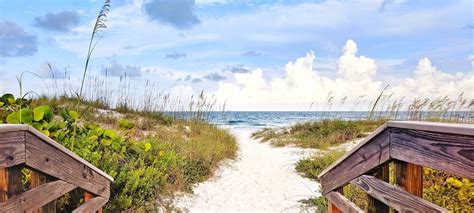 Florida Spring Break Destinations 的图像结果