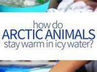 Animal Science Experiments 的图像结果