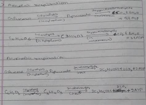 what are two overall chemical equations representing aerobic and ...