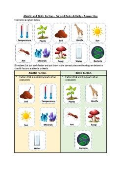 Image result for Biotic Sampling Methods Worksheet