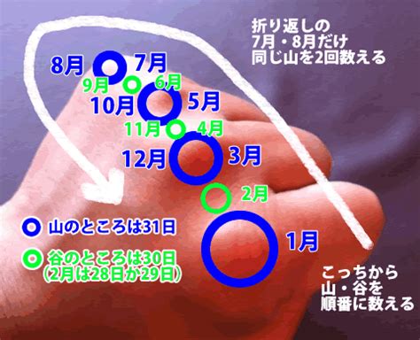 今月は31日30日ある月ない月の覚え方、うるう年がわかる方法 - ひなぴし ドラマ考察