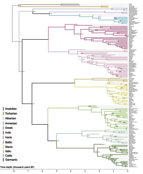 Image result for Borean Language Tree
