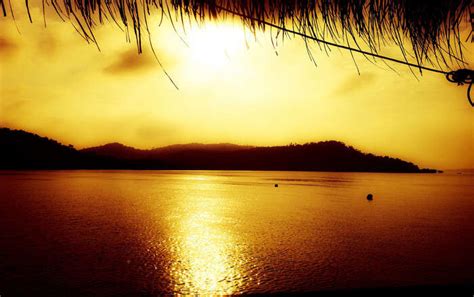 Sugi Island: Take A Short Mesmerising Detour Near Singapore