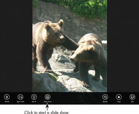 Window 8 Camera Tutorial 的图像结果