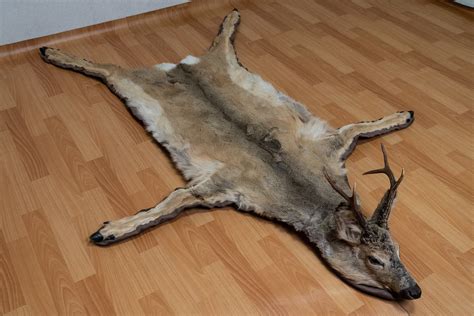 SIBERIAN ROE DEER TAXIDERMY RUG MOUNT WITH HEAD - MOUNTED PELT, FUR ...