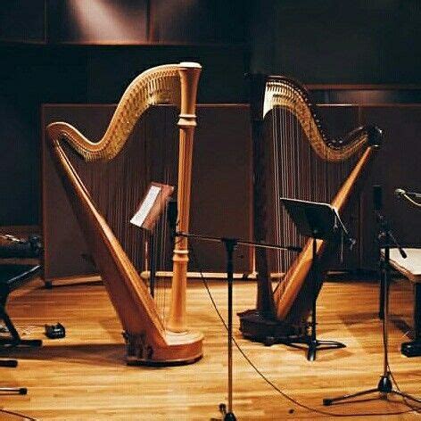 Image result for Stringed Instruments Harp