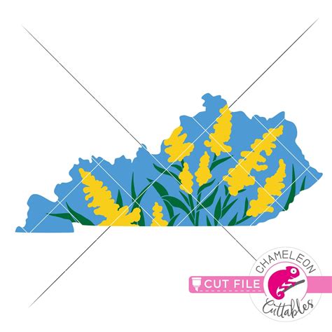 Kentucky state flower goldenrod layered svg png dxf eps jpeg Chameleon ...