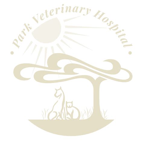 Can Cats Eat Raw Fish - Park Veterinary Hospital