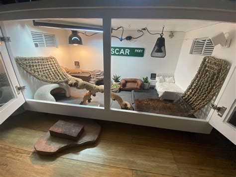 Awesome Bearded Dragon Cages