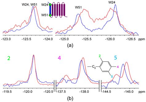 Simultaneous Ligand and Receptor Tracking through NMR Spectroscopy ...