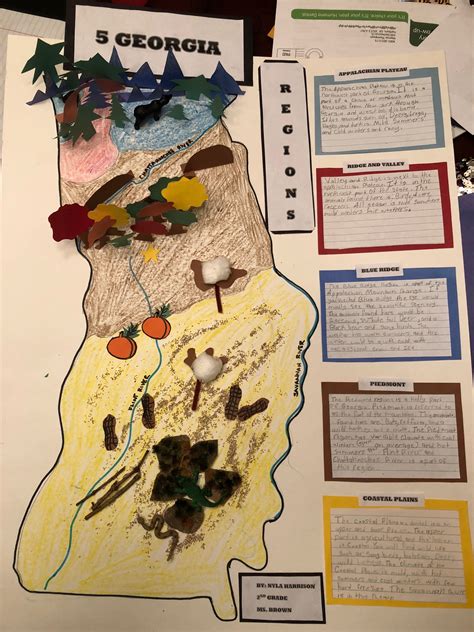 Five Georgia Regions project | Georgia regions, Southeast region ...