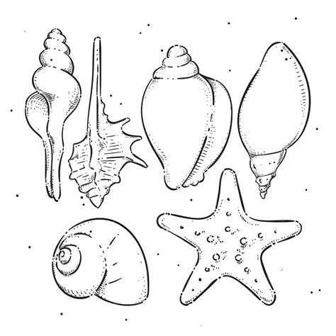 Image result for Shell Outline Printable