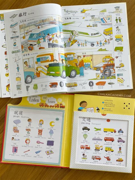 Best Chinese Picture Dictionaries for Kids and Parents!