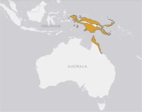 Image result for Amethystine Python