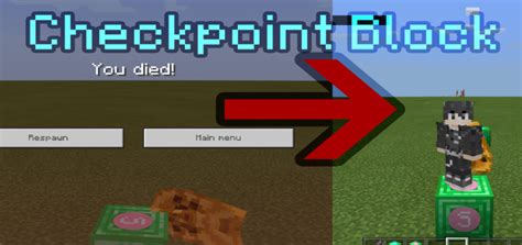 Image result for Checkpoint Minecraft Map